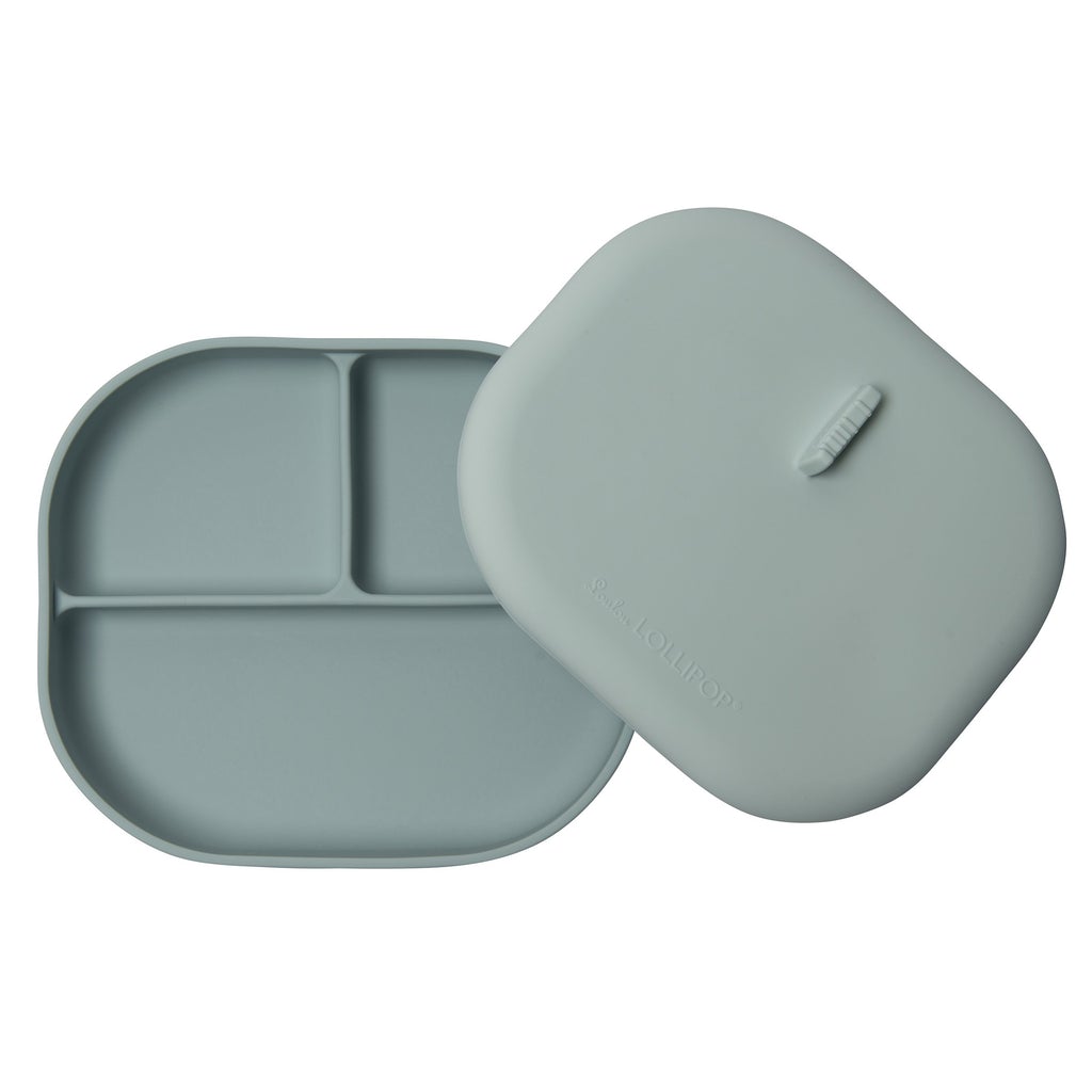 Divided Plate With Lid - Blue