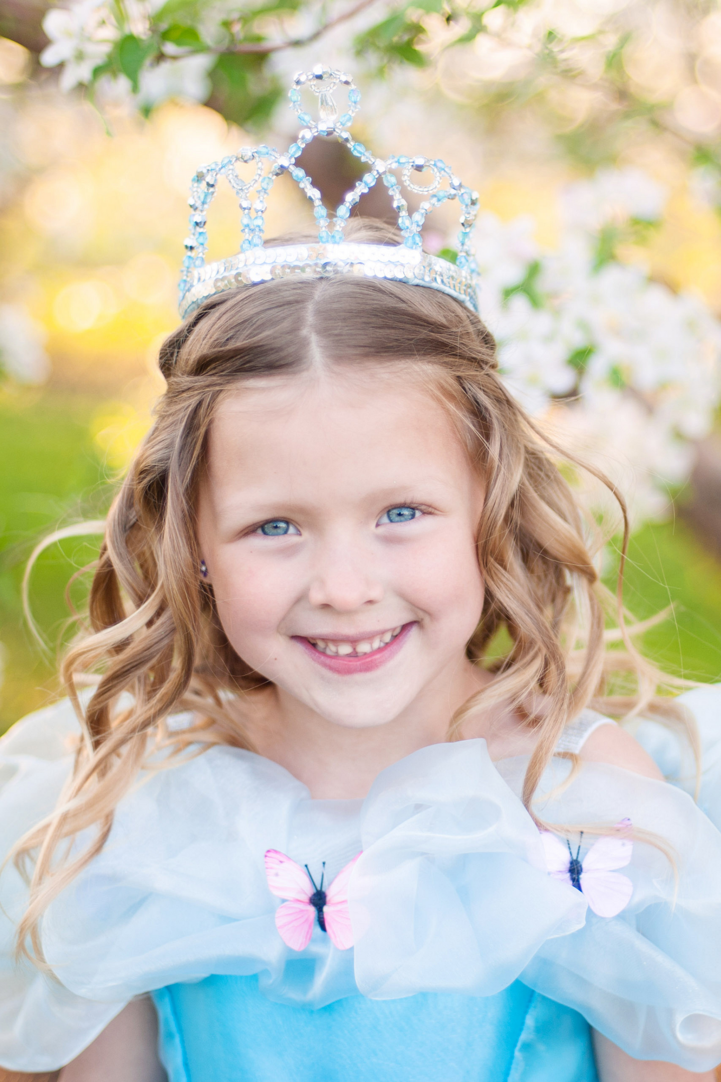 CINDERELLA TIARA SILVER & BLUE