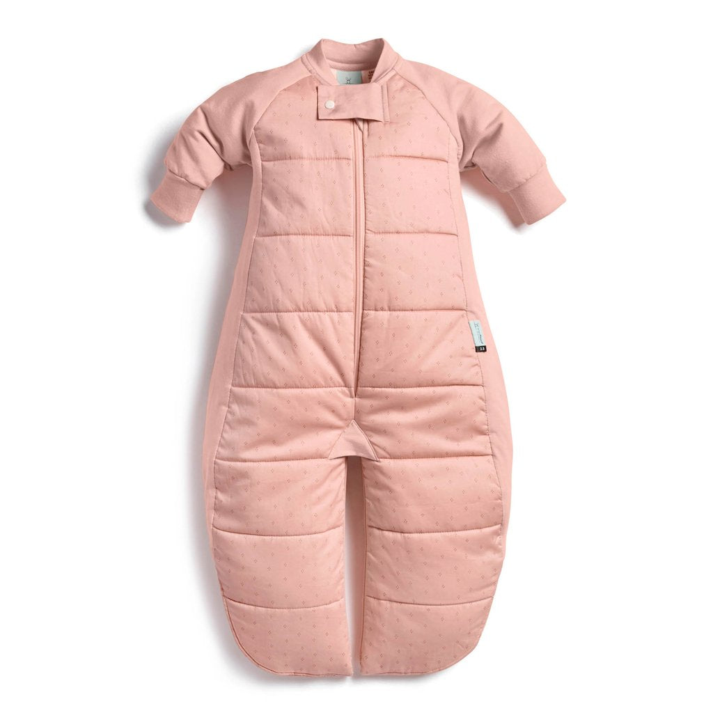 Sleep Suit Bag (2.5 Tog) - Berries