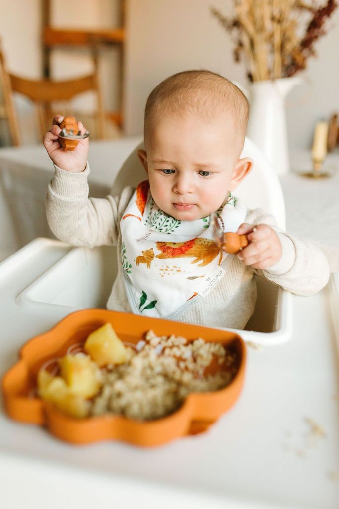 Silicone Suction Snack Plate - Lion