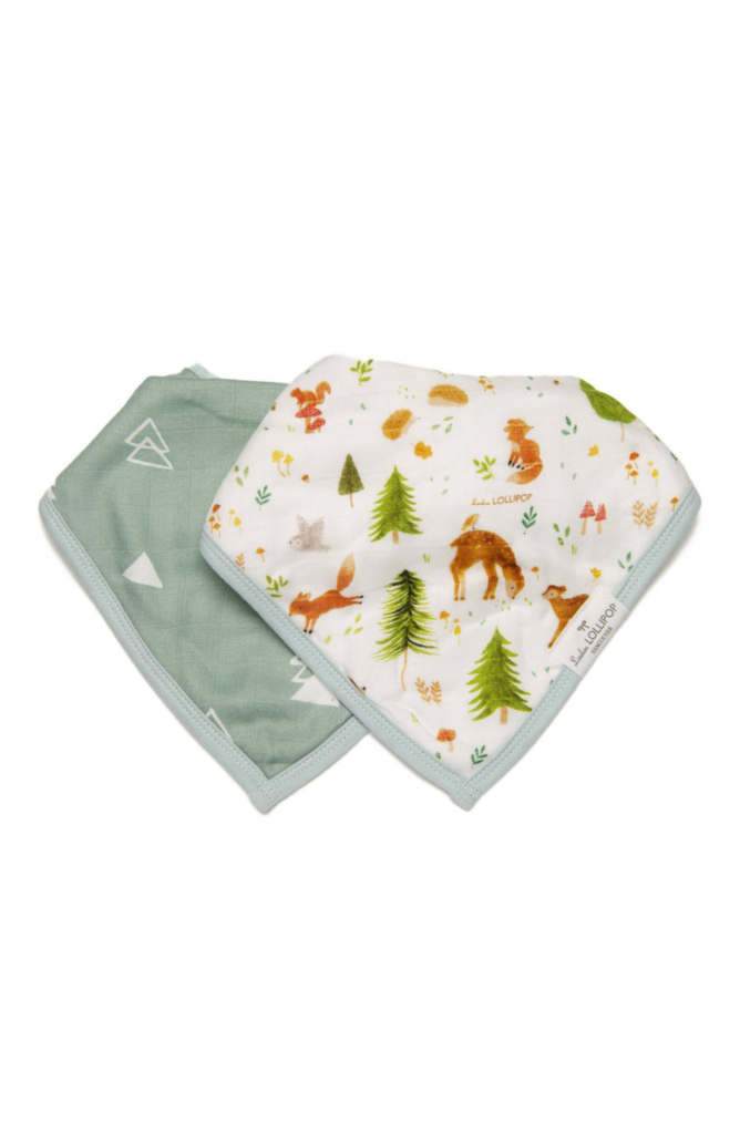 Muslin Bandana Bib Set - Forest Friends