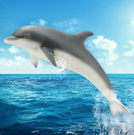 Dolphin 14808