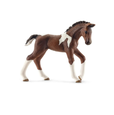 Trakehner foal 13758