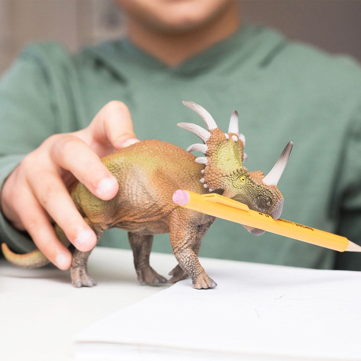 Styracosaurus 15033